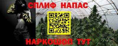 марихуана Будённовск