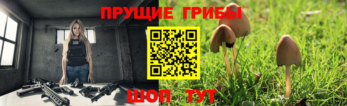 Галлюциногенные грибы мухоморы  купить наркотики сайты  Феодосия  Галлюциногенные грибы мухоморы  Вход с VPN 